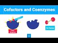 Cofactors and Coenzymes (Holo-enzyme, Apo-enzyme and MORE)