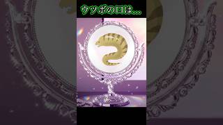 【雑学】ウツボ　#shorts　#生物語　#魚類