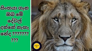 Eps-04 සිංහයා ගැන දැනගනිමු./Let's learn about the lion in Sinhala.