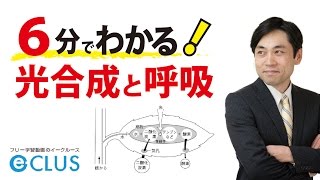 光合成と呼吸　中学理科　1年　2分野　植物の生活と種類7