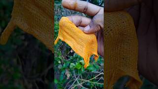 colour changing experiment | Turmeric powder v/s Detergent |#shorts #new #trending #yt #experiment