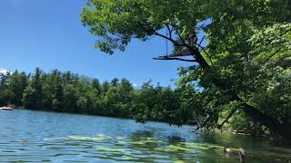 Rope swing jump, Bond Lake, Richmond Hill