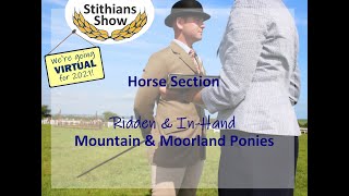 Mountain \u0026 Moorland Ponies, ridden \u0026 in-hand