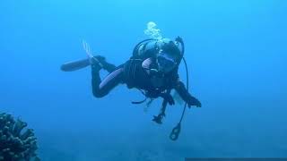 游龍潛水＊109-04-26 PADI OPEN WATER DIVER 海洋實習篇DAY.1