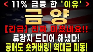 [금양 , 금양 주가전망] 10/8 (화) [속보] 류회장 \