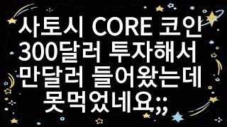 사토시 CORE 코인// 300달러 투자해서 // 만달러 들어왔는데    못먹었네요;;