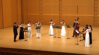 Romanian folk dances for strings/ Bartok