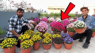 How do such beautiful flowers bloom 😯 Know the most effective tips and fertilizers