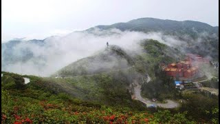 【秒懂百科】一分钟带你游遍阳明山