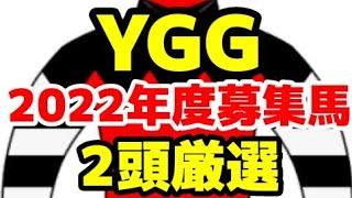 【YGGOC】2022年度募集注目馬を評価!!【厳選1歳馬】