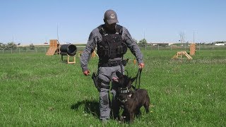 Peel Regional Police Canine Unit - June 2019