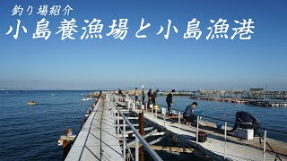 【釣り場紹介】大阪府岬町　小島養漁場と小島漁港