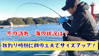 【筏釣り 海香】寒くなってきたけど海はどんな感じ⁉︎餌の工夫でサイズアップ！