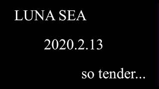 LUNA SEA - so tender - (LIVE)