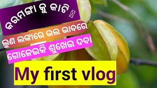 କରମଙ୍ଗା କୁ କାଟି ଲୁଣ ଲଙ୍କାରେ ଭଲ ଭାବରେ ଗୋଳାଇ ଦେବା ଏବଂ ଖରାରେ ଶୁଖାଇ ଦେବା🥰#myfirstvlog #shortsfeed#shorts