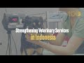 Strengthening Veterinary Services in Indonesia