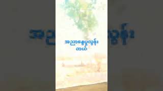 မကွေး ပွင့်ဖြူလမ်းကြောင်း