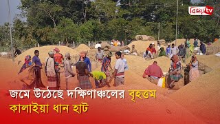 জমে উঠেছে দক্ষিণাঞ্চলের বৃহত্তম কালাইয়া ধান হাট | Patuakhali | Bijoy TV