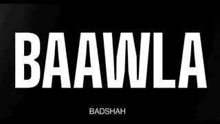 BADSHAH - BAAWLA ( LYRICS )