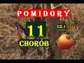 POMIDORY - CHOROBY, CZ. 1