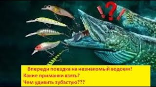 Собираю коробку приманок для выезда на неизвестный водоем. Уловистые воблера. Топ приманок для щуки.