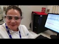 Getting to Know CRUK MI: Dr Cinzia Bordoni