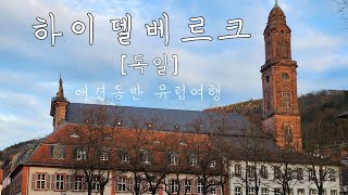 🇩🇪 강아지와 함께 기차타고 독일가는 법 / 독일에서 가봐야하는 여행지 / 하이델베르크 / 독일여행 브이로그/ / 반려견동반 유럽여행 [독일]