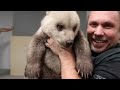 SURPRISING FRIENDS WITH REAL BABY BEAR!!