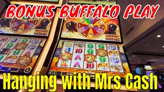 Mrs Cash Slots at SILVER SEVENS Casino with SOME BONUS Play PANDAS and BUFFALO