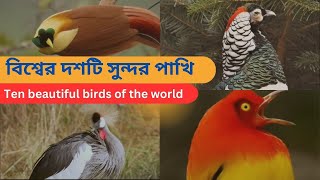 Top 10 Beautiful and Amazing Birds  দশটি সুন্দর এবং আশ্চর্যজনক পাখি