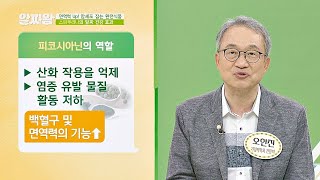 면역력 강화를 도와주는 ′스피루리나′의 효과는? TV정보쇼 알짜왕(alzzaking) 142회