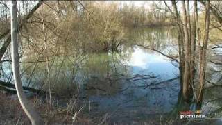 Ein Spaziergang in den Rheinauen bei Plittersdorf