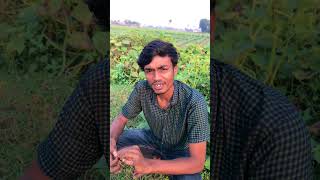 বালের পড়াশোনা #funnyvideo #comedyvideo