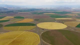 Open Alamosa