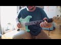 Fender American Stratocaster - Van Zandt Blues Pickups