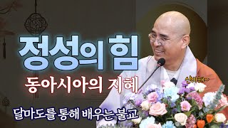 동아시아 문화의 깊은 뿌리: 달마도와 금, 그리고 정성