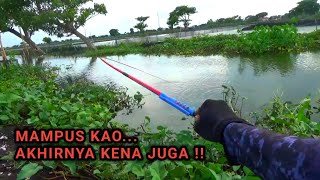 INILAH LAWANKU TER DASYAT SAAT MANCING DISUNGAI DAPAT IKAN MAS BESAR