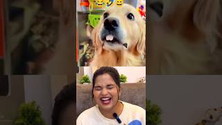 ये क्या बना दिया कुत्ते का 🤣🤣Funny Viral New Indian Memes Trending Reels YouTube Shorts | REACTION |