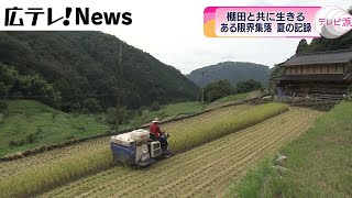 【限界集落】棚田と共に生きる　夏の記録　広島・安芸太田町