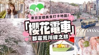 東京賞櫻美食打卡地圖！ 「櫻花電車」都電荒川線之旅