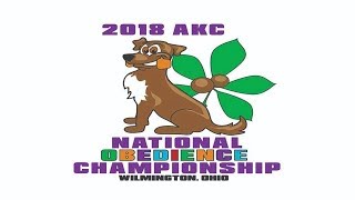 Ring 4 - 2018 AKC National Obedience Championship Top 20