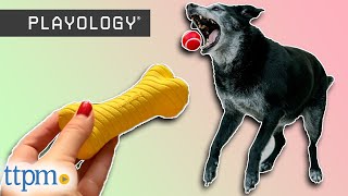 Puppies Review Scented Toys for Dogs from Playology!