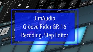 JimAudio Groove Rider GR-16 - Tutorial Part 5: Parts Record and Step Editor