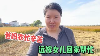 闺女远嫁四川3年第一次回江苏赶上农忙，心怀愧疚给爸妈做好吃的