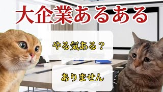 【猫ミーム】大企業メーカーあるある3選（工場勤務）　#猫ミーム  #猫マニ