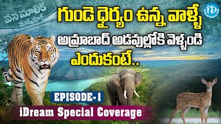 అమ్రాబాద్ అడవుల్లో కేవలం పులులే కాదు..ఇంకా ఎన్నో- Amrabad Tiger Reserve | Nallamala Forest | iDream