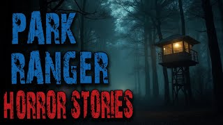 Scary Park Ranger Stories of Strange Lights in the Forest | National Park, Missing Person, Mystery