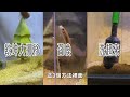 隱藏版魚缸洗砂術，不用動手 hidden version of fish tank sand washing technique no hands required