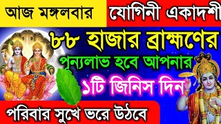 যোগিনী একাদশীর দিন অবশ্যই দিন ১টি জিনিস দিয়ে করুন এই ৫ টি কাজ। Yogini Ekadashi 2024