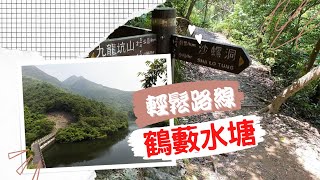 鶴藪水塘｜輕鬆路線｜初級｜林蔭｜輕鬆郊遊 【中文字幕｜廣東話 】